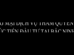 company introduction